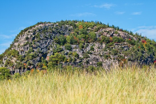 Acadia_National_Park_Maine_Fall_USA_Nature_Photography_097_Canon_EOS_7D.JPG