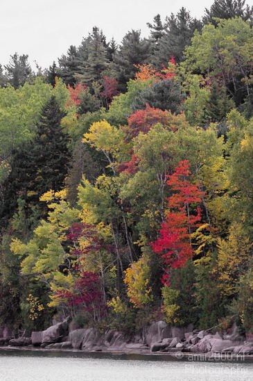 Acadia_National_Park_Maine_Fall_USA_Nature_Photography_108_Canon_EOS_7D.JPG