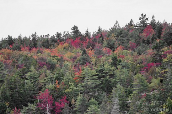 Acadia_National_Park_Maine_Fall_USA_Nature_Photography_111_Canon_EOS_7D.JPG