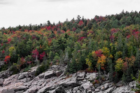 Acadia_National_Park_Maine_Fall_USA_Nature_Photography_112_Canon_EOS_7D.JPG
