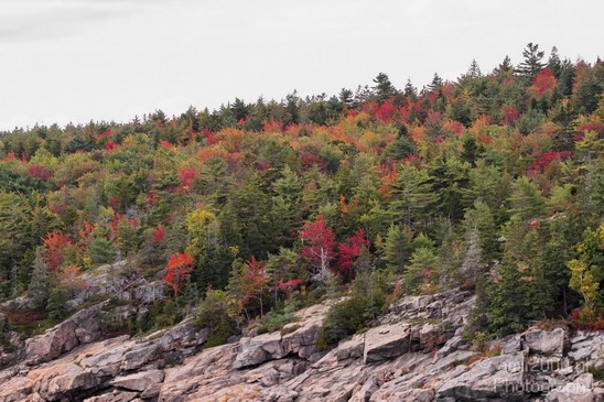 Acadia_National_Park_Maine_Fall_USA_Nature_Photography_114_Canon_EOS_7D.JPG