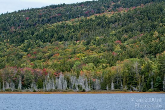 Acadia_National_Park_Maine_Fall_USA_Nature_Photography_115_Canon_EOS_7D.JPG