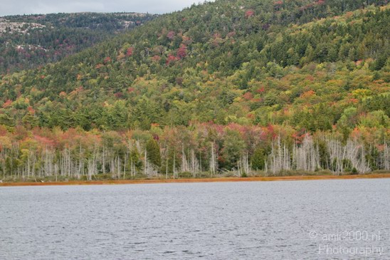 Acadia_National_Park_Maine_Fall_USA_Nature_Photography_116_Canon_EOS_7D.JPG