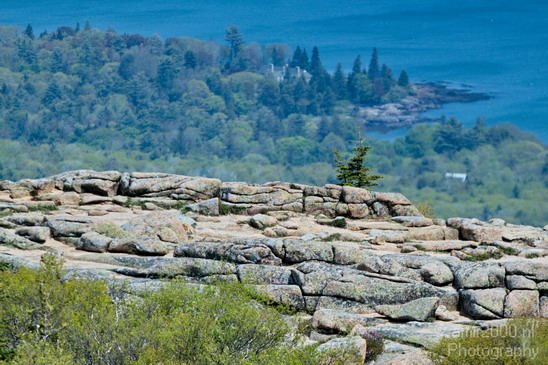 Acadia_National_Park_Maine_USA_nature_Photography_041_Canon_EOS_7D.JPG