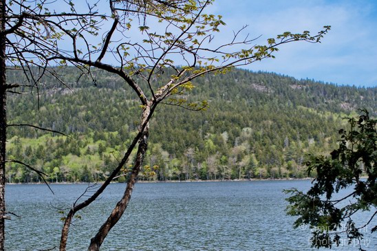 Acadia_National_Park_Maine_USA_nature_Photography_055_Canon_EOS_7D.JPG