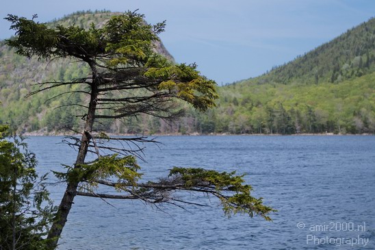 Acadia_National_Park_Maine_USA_nature_Photography_060_Canon_EOS_7D.JPG
