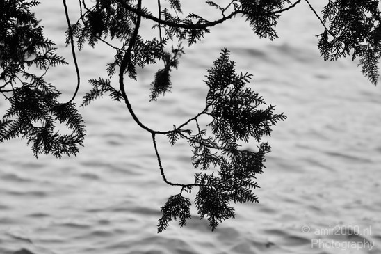 Acadia_National_Park_Maine_USA_nature_Photography_068_Canon_EOS_7D.JPG