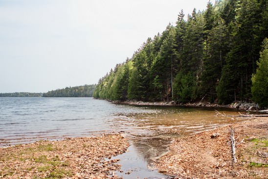 Acadia_National_Park_Maine_USA_nature_Photography_072_Canon_EOS_7D.JPG