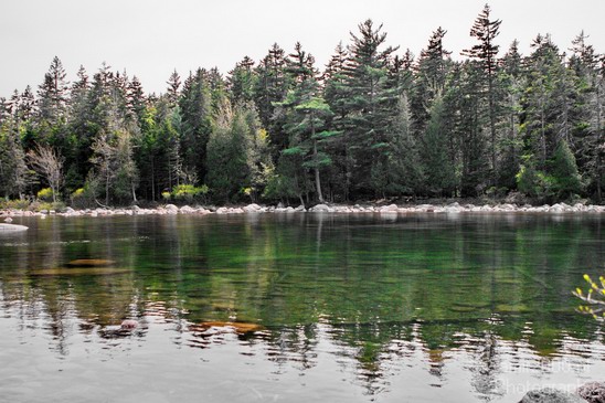 Acadia_National_Park_Maine_USA_nature_Photography_080_Canon_EOS_7D.JPG