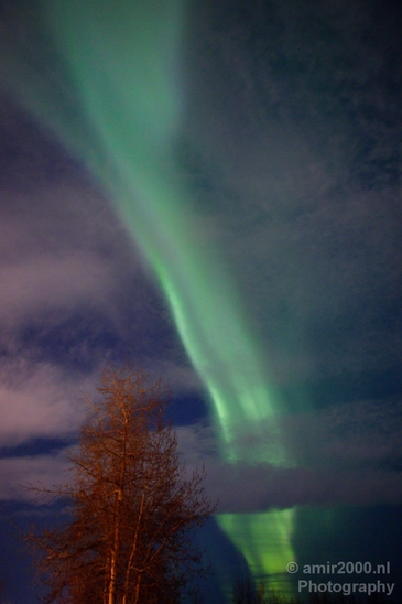 Alaska_Northern_Lights_Aurora_nature_Usa_Photography_032_Canon_EOS_5D_Mark_IV.JPG