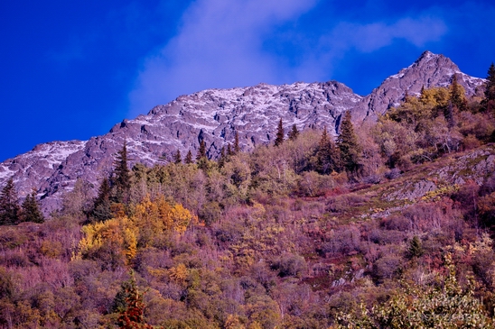 Alaska_landscape_nature_fall_autumn_Usa_Photography_031_Canon_EOS_5D_Mark_IV.JPG