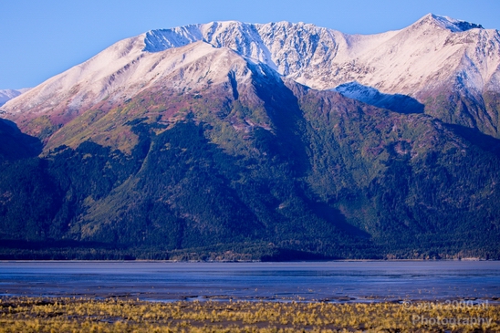 Alaska_landscape_nature_fall_autumn_Usa_Photography_039_Canon_EOS_5D_Mark_IV.JPG