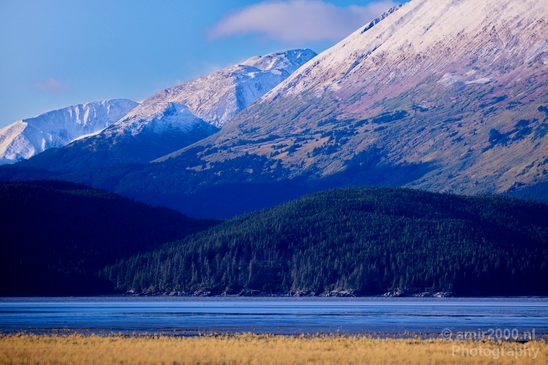 Alaska_landscape_nature_fall_autumn_Usa_Photography_040_Canon_EOS_5D_Mark_IV.JPG