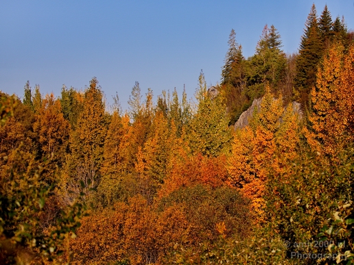 Alaska_landscape_nature_fall_autumn_Usa_Photography_044_Canon_EOS_5D_Mark_IV.JPG