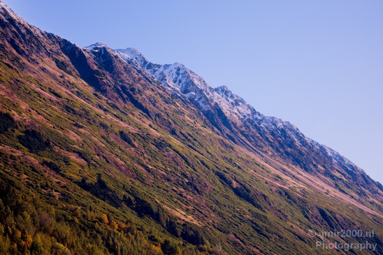 Alaska_landscape_nature_fall_autumn_Usa_Photography_045_Canon_EOS_5D_Mark_IV.JPG