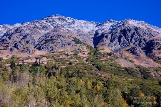 Alaska_landscape_nature_fall_autumn_Usa_Photography_047_Canon_EOS_5D_Mark_IV.JPG