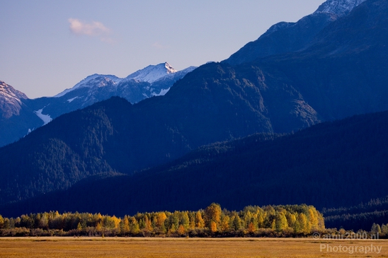 Alaska_landscape_nature_fall_autumn_Usa_Photography_069_Canon_EOS_5D_Mark_IV.JPG