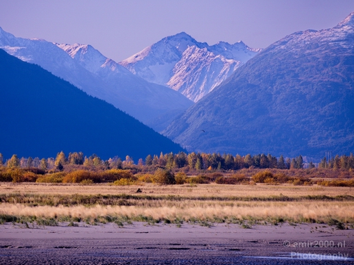 Alaska_landscape_nature_fall_autumn_Usa_Photography_070_Canon_EOS_5D_Mark_IV.JPG