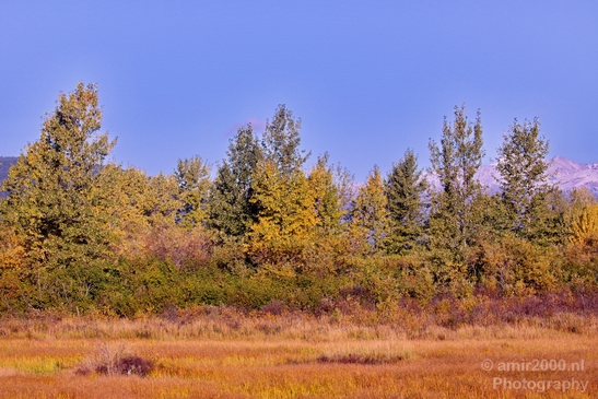 Alaska_landscape_nature_fall_autumn_Usa_Photography_073_Canon_EOS_5D_Mark_IV.JPG