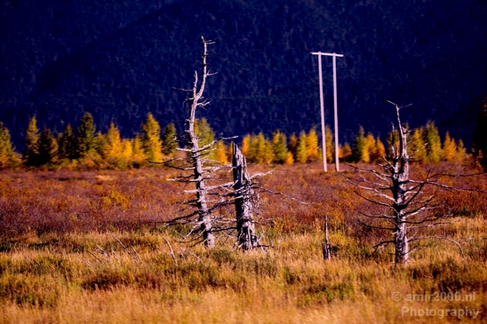 Alaska_landscape_nature_fall_autumn_Usa_Photography_078_Canon_EOS_5D_Mark_IV.JPG