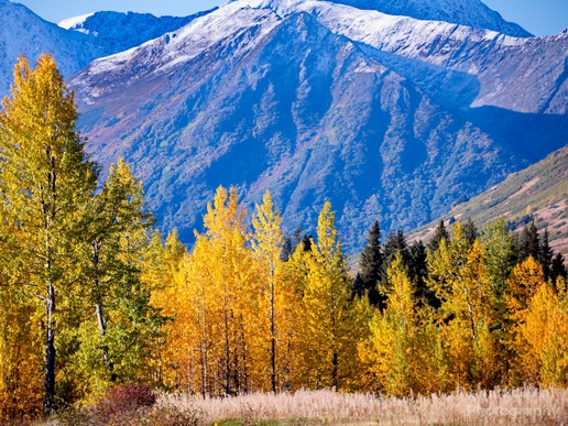 Alaska_landscape_nature_fall_autumn_Usa_Photography_085_Canon_EOS_5D_Mark_IV.JPG