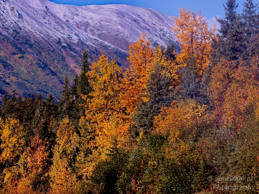 Alaska_landscape_nature_fall_autumn_Usa_Photography_088_Canon_EOS_5D_Mark_IV.JPG