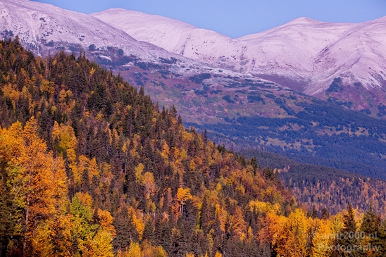 Alaska_landscape_nature_fall_autumn_Usa_Photography_089_Canon_EOS_5D_Mark_IV.JPG