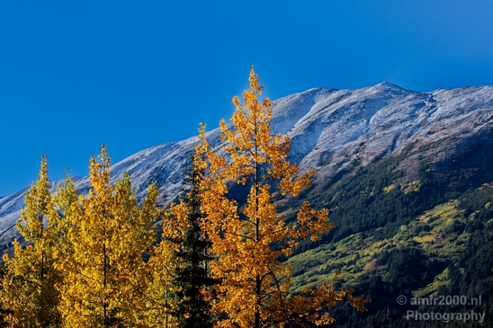Alaska_landscape_nature_fall_autumn_Usa_Photography_092_Canon_EOS_5D_Mark_IV.JPG
