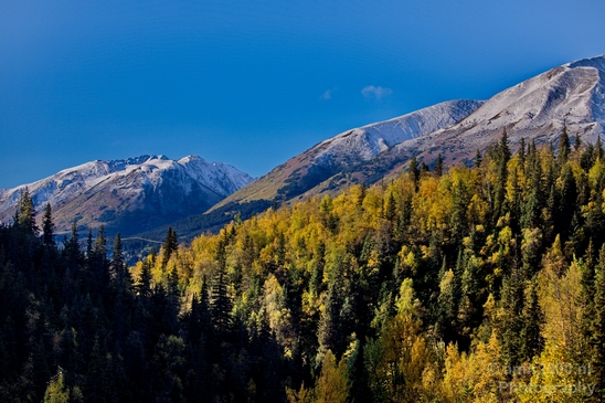 Alaska_landscape_nature_fall_autumn_Usa_Photography_093_Canon_EOS_5D_Mark_IV.JPG