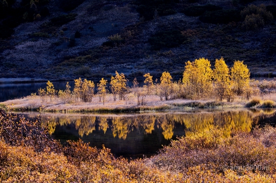 Alaska_landscape_nature_fall_autumn_Usa_Photography_098_Canon_EOS_5D_Mark_IV.JPG