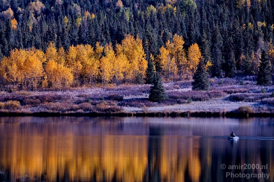 Alaska_landscape_nature_fall_autumn_Usa_Photography_099_Canon_EOS_5D_Mark_IV.JPG