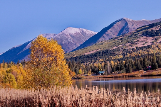 Alaska_landscape_nature_fall_autumn_Usa_Photography_102_Canon_EOS_5D_Mark_IV.JPG