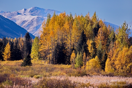 Alaska_landscape_nature_fall_autumn_Usa_Photography_103_Canon_EOS_5D_Mark_IV.JPG