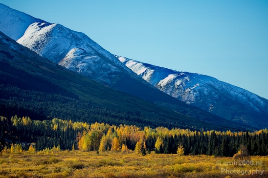 Alaska_landscape_nature_fall_autumn_Usa_Photography_104_Canon_EOS_5D_Mark_IV.JPG