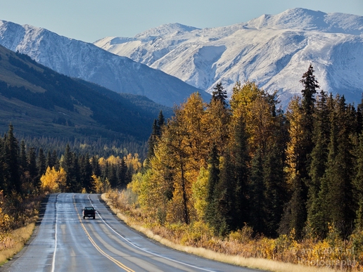 Alaska_landscape_nature_fall_autumn_Usa_Photography_106_Canon_EOS_5D_Mark_IV.JPG