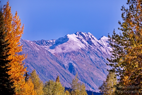 Alaska_landscape_nature_fall_autumn_Usa_Photography_109_Canon_EOS_5D_Mark_IV.JPG