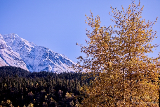 Alaska_landscape_nature_fall_autumn_Usa_Photography_111_Canon_EOS_5D_Mark_IV.JPG