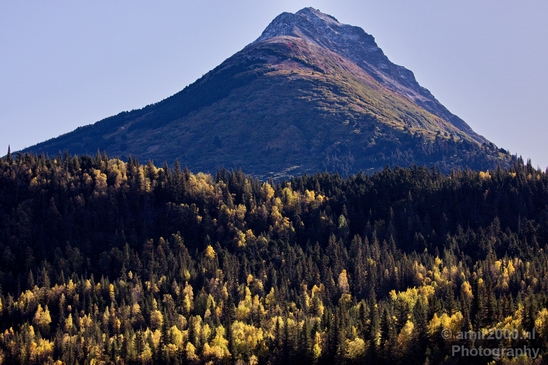 Alaska_landscape_nature_fall_autumn_Usa_Photography_113_Canon_EOS_5D_Mark_IV.JPG