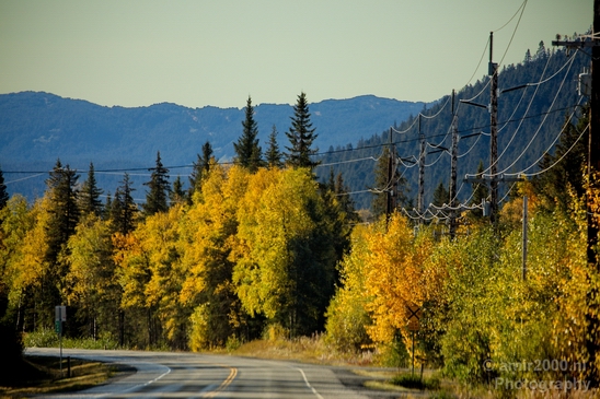Alaska_landscape_nature_fall_autumn_Usa_Photography_114_Canon_EOS_5D_Mark_IV.JPG