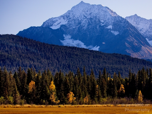 Alaska_landscape_nature_fall_autumn_Usa_Photography_117_Canon_EOS_5D_Mark_IV.JPG