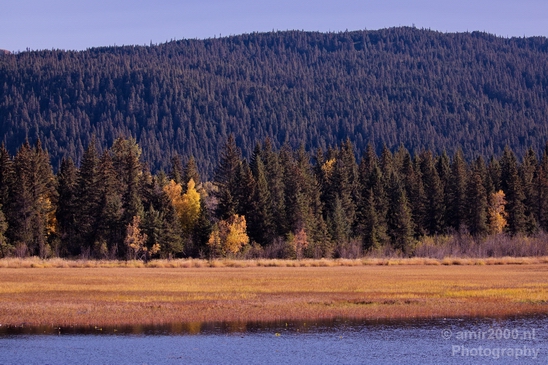 Alaska_landscape_nature_fall_autumn_Usa_Photography_120_Canon_EOS_5D_Mark_IV.JPG