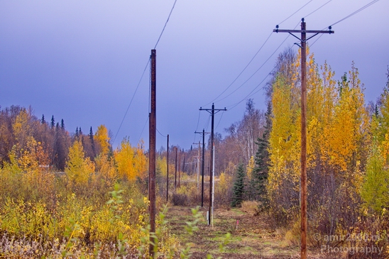 Alaska_landscape_nature_fall_autumn_Usa_Photography_121_Canon_EOS_5D_Mark_IV.JPG