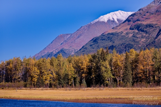 Alaska_landscape_nature_fall_autumn_Usa_Photography_122_Canon_EOS_5D_Mark_IV.JPG