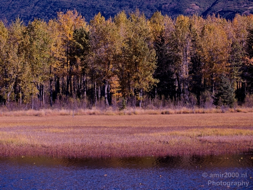 Alaska_landscape_nature_fall_autumn_Usa_Photography_123_Canon_EOS_5D_Mark_IV.JPG