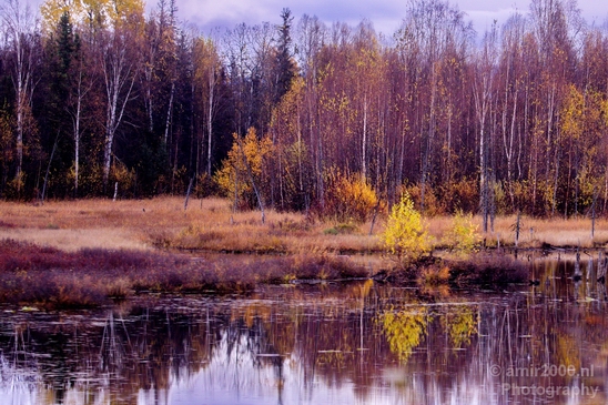 Alaska_landscape_nature_fall_autumn_Usa_Photography_127_Canon_EOS_5D_Mark_IV.JPG