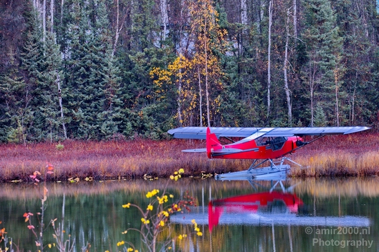 Alaska_landscape_nature_fall_autumn_Usa_Photography_129_Canon_EOS_5D_Mark_IV.JPG