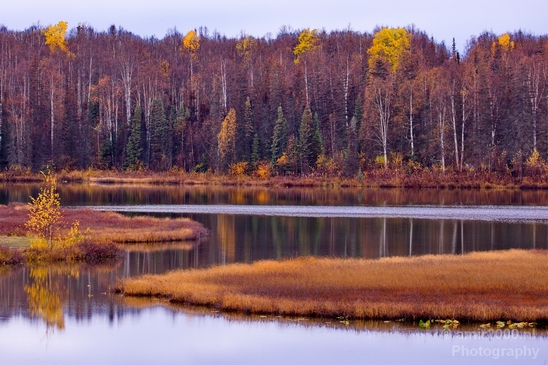 Alaska_landscape_nature_fall_autumn_Usa_Photography_131_Canon_EOS_5D_Mark_IV.JPG