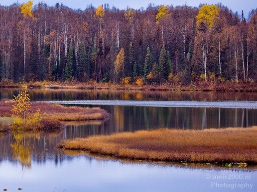 Alaska_landscape_nature_fall_autumn_Usa_Photography_132_Canon_EOS_5D_Mark_IV.JPG
