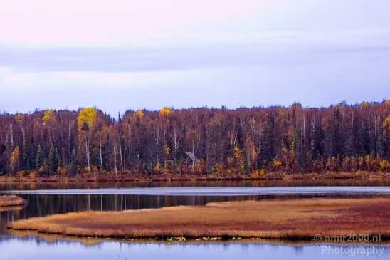 Alaska_landscape_nature_fall_autumn_Usa_Photography_135_Canon_EOS_5D_Mark_IV.JPG