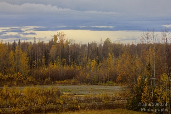 Alaska_landscape_nature_fall_autumn_Usa_Photography_137_Canon_EOS_5D_Mark_IV.JPG
